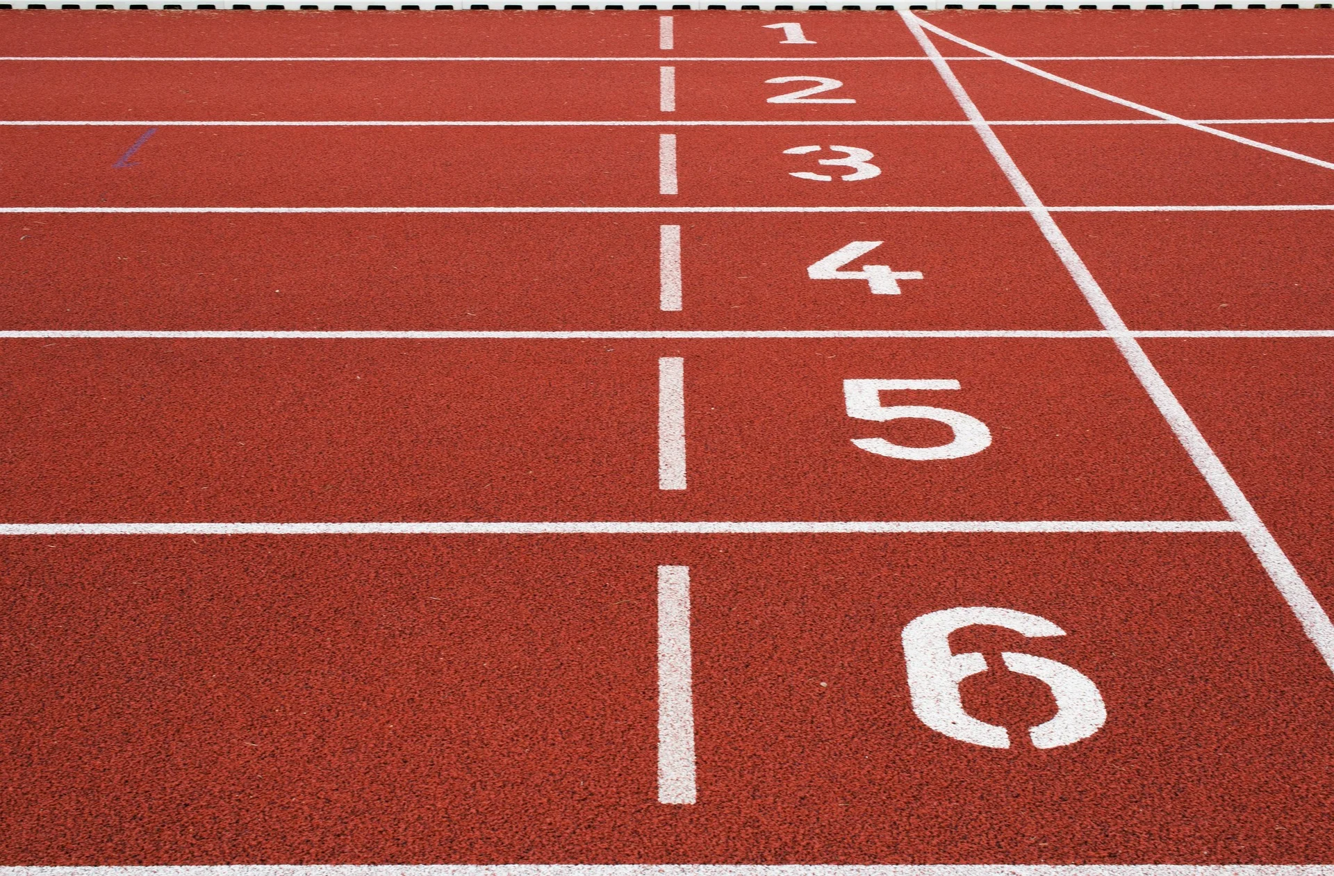 Pourquoi les primes explosent en course à pied : le running est-il devenu un véritable business ?