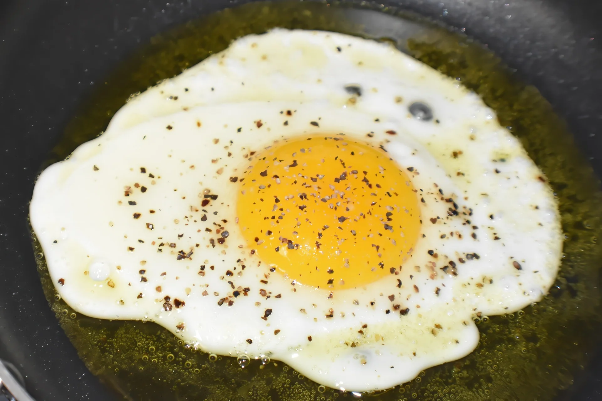 Course à pied et alimentation vegan : peut-on vraiment performer sans viande ?